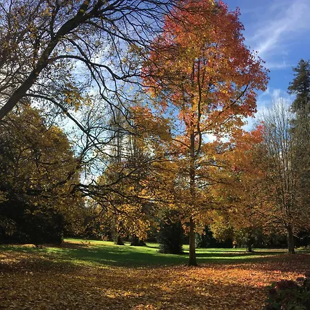 Le Manoir Des Parcs, Piscine Chauffee