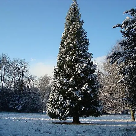 Le Manoir Des Parcs, Piscine Chauffee Ouilly-le-Vicomte