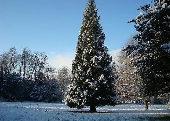 Le Manoir Des Parcs, Piscine Chauffee Ouilly-le-Vicomte